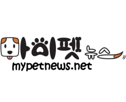 마이펫뉴스