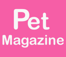 펫매거진 PetMagazine