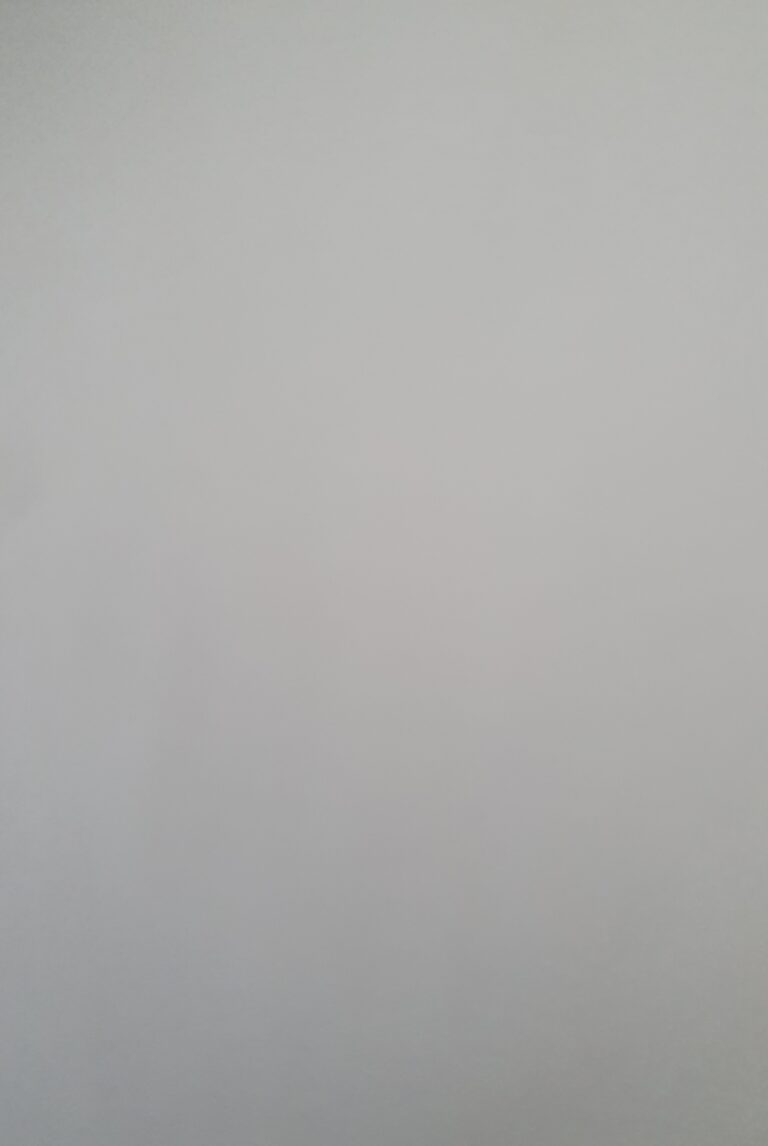 김규식