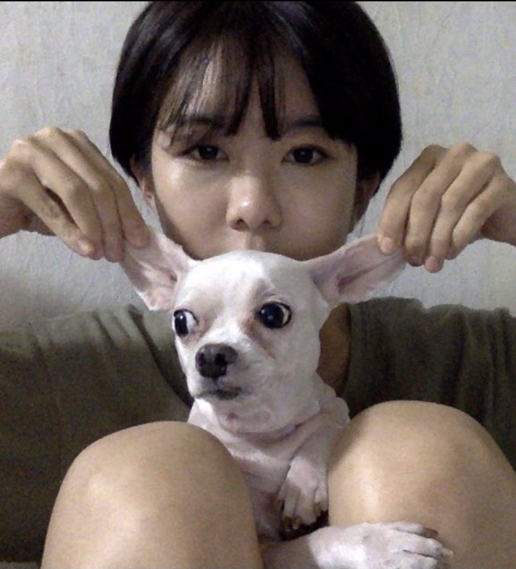 임소현