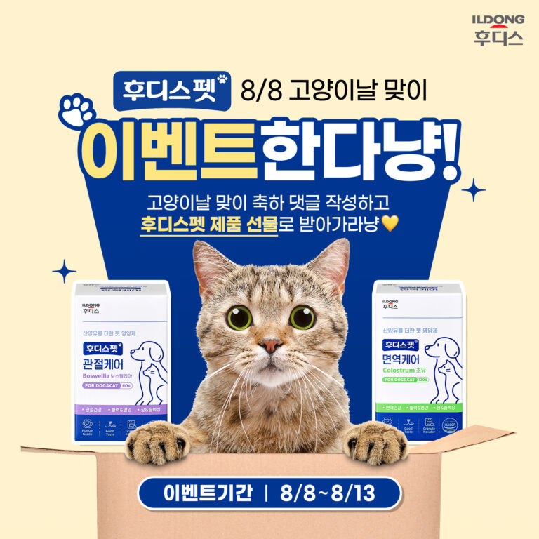 일동후디스, ‘세계 고양이의 날’ 기념 후디스펫 SNS 이벤트 진행