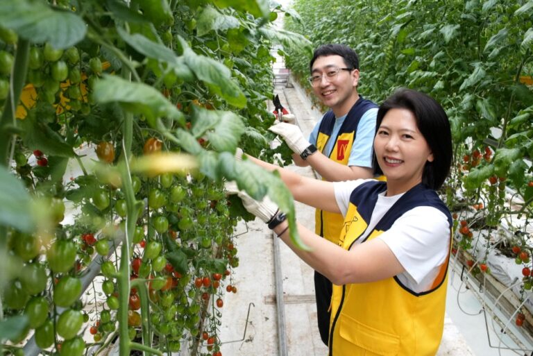 “한국맥도날드의 특별한 창립기념일 맞이” 한국맥도날드 임직원, 창립기념일 맞아 ‘푸르메소셜팜’ 봉사활동 진행